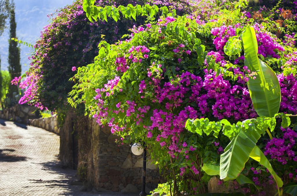 Paradise Garden Hotel Oludeniz Bagian luar foto