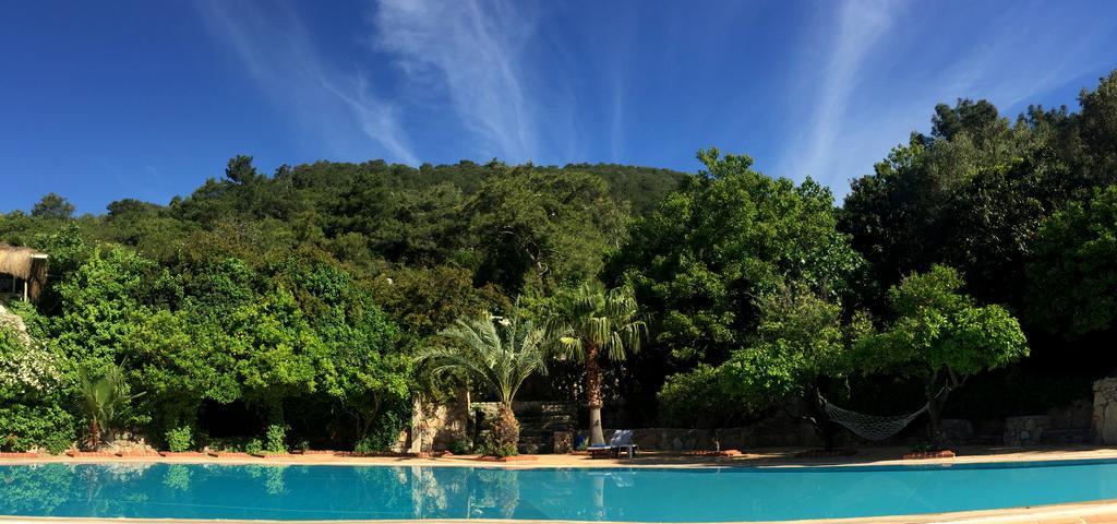 Paradise Garden Hotel Oludeniz Bagian luar foto