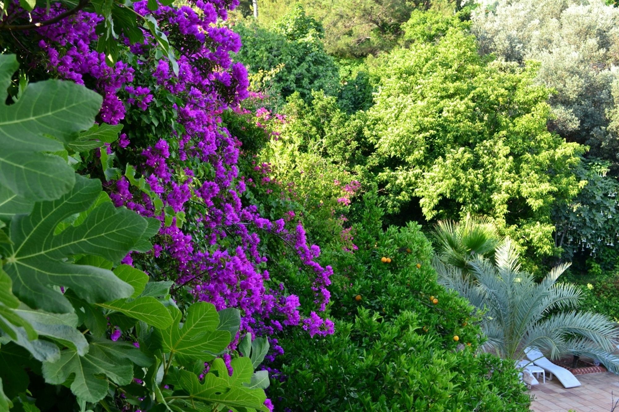 Paradise Garden Hotel Oludeniz Bagian luar foto